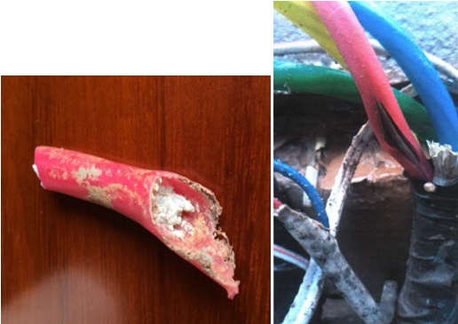 从电缆事故看铝合金导体的隐患和风险